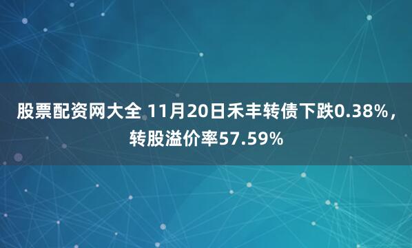 股票配资网大全 11月20日禾丰转债下跌0.38%，转股溢价率57.59%